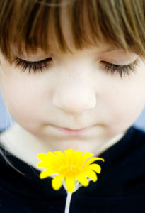 Young child holding yellow flower to her face